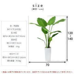 H観葉植物【オーガスタ／グリーン色】フェイクグリーン 造花 光触媒 インテリア 訳あり B品 アウトレット品 ※定価10,990円の画像
