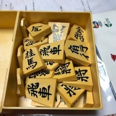 将棋の駒だけ　　綺麗。