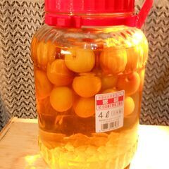 梅酒ウィスキー仕込み　総量４L　6月２５日仕込み