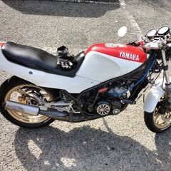 RZ250R 29L 3HM