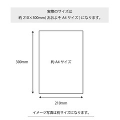 【未使用】アートポスター フラワー植物花ボタニカルグリーン海外雑貨インテリアの画像