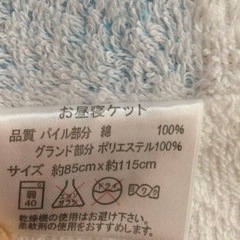 ポケモン　タオルケット　バスタオルの画像