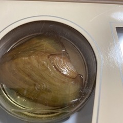 天然パールネックレスの画像
