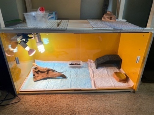 爬虫類ケージ