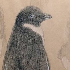アート系の活動されている方いませんか？