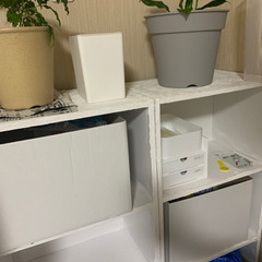 【受付今日15時まで！】漆喰風 カラーボックス ベタ塗り