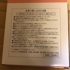 小鳥と少年の春色皿　ガストの画像