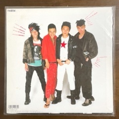 【激レア】ブルーハーツ Young&Pretty LPレコード盤 団員募集用紙付きの画像