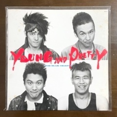 【激レア】ブルーハーツ Young&Pretty LPレコード盤...