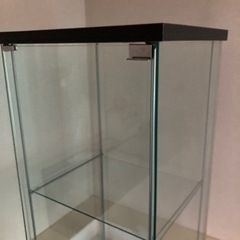 IKEA デトルフ　DETOLF ガラスケース