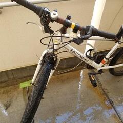自転車　