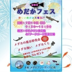 めだかフェス