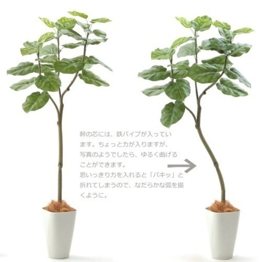 フェイクグリーンウンベラータ観葉植物 フェイクグリーン 人工 造花 光触媒