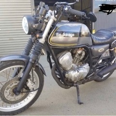 SRV250 カスタム リアキャリア付き