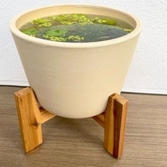 ビオトーブset