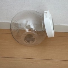 入れ物　透明容器の画像