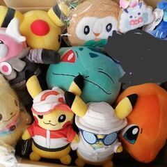 決定しました!●1点あたり100円●計10点●ポケモン　ぬいぐる...