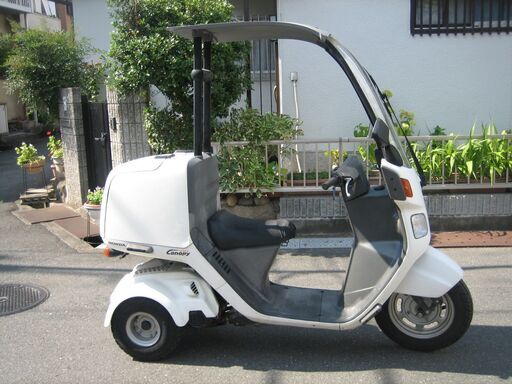 キャノピー　エンジン好調　動画付