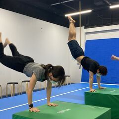 子供から大人まで通える体操クラブ -Mizutori Sports Club-の画像