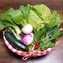 無農薬野菜の販売場所提供の募集