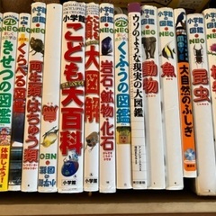 図鑑16冊セット