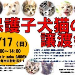 7/17💠譲渡会を開催します💠