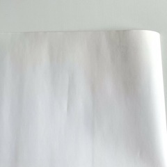 廃盤品 Triple H ポスターの画像