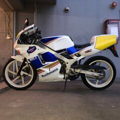 ホンダ NS－1 前期型 新品カウルロスマンズ 新品タイヤ前後