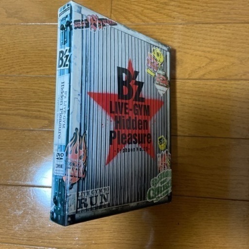 B’z LIVE-GYM Hidden Pleasure ~Typhoon No.20~ [DVD]