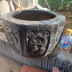 火鉢睡蓮鉢 メダカにも