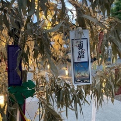 着物をお洒落に着てほおずき市散策❗️ − 東京都