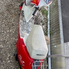 HONDA DJ1の画像