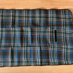 新品未使用　コンパクトレジャーシートの画像