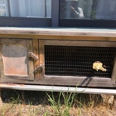 外用うさぎ小屋