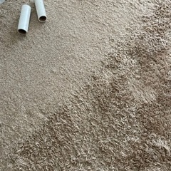 カーペット