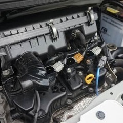 先鋭なフェイス👀❗❗の画像
