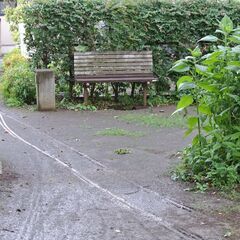 小金井市内小規模公園花壇の、小さな花壇ボランティア (随時メンバ...