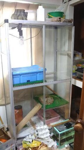 温室　中古　ガラス　7/14迄！