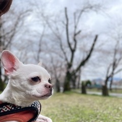 お悩み相談聞きます^ ^ オンラインでも可🙆‍♀️ - 悩み相談