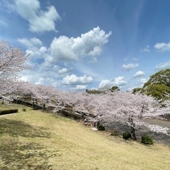 お悩み相談聞きます^ ^ オンラインでも可🙆‍♀️ − 熊本県