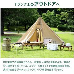 冷凍庫 車載 40L　冷蔵庫 DC 12V 24V AC 2電源 ストッカー 家庭用 室内 保冷 小型 アウトドアの画像