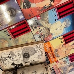 アイル　I'II  漫画　マンガ　アニメ　本　1〜14巻の画像