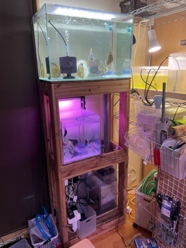 オーバーフロー水槽セット(値下げ)