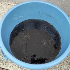 エアコンクリーニング 出店キャンペーン！ - 京都市