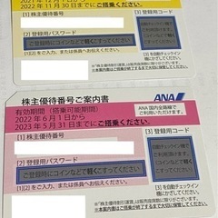 ANA 全日空 株主優待券　2枚セット 