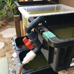 【水槽給水ノズル】飼育容器への給水速度アップ しっかり掛けられるので安定しますの画像