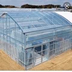 ビニールハウス使って無い方貸して下さい！