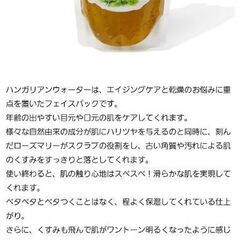 リラベルマスキングジャム(ハンガリアンウォーター)フェイスマスク【新品未開封】の画像