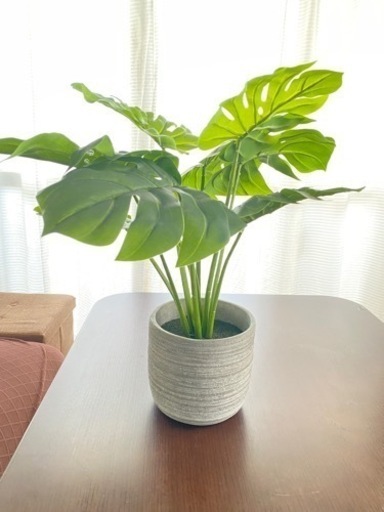観葉植物1(造花)