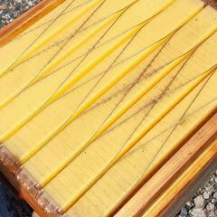 養蜂箱 蜂蜜 フローハイヴの画像